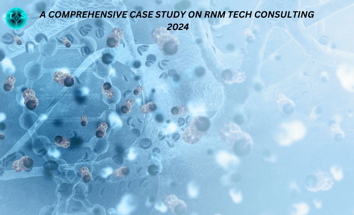 A Comprehensive Case Study On RNM Tech Consulting 2024